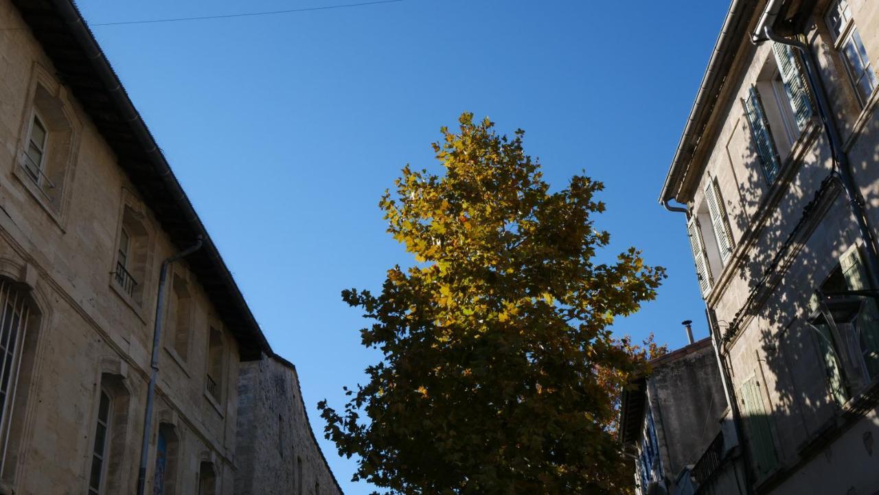 Charmant Studio 25 M2 Centre Ville Avignon Ngoại thất bức ảnh
