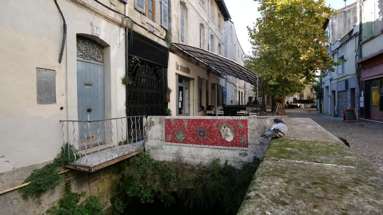 Charmant Studio 25 M2 Centre Ville Avignon Ngoại thất bức ảnh